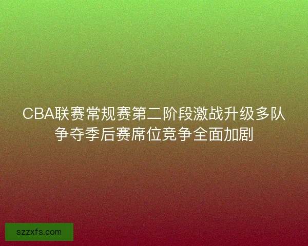 CBA联赛常规赛第二阶段激战升级多队争夺季后赛席位竞争全面加剧